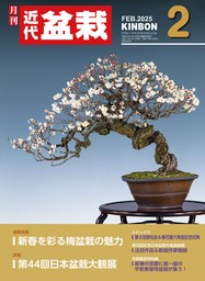 近代盆栽2025年2月号