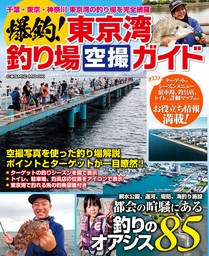 爆釣！東京湾釣り場空撮ガイド