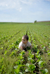 Agriculture ~ with life